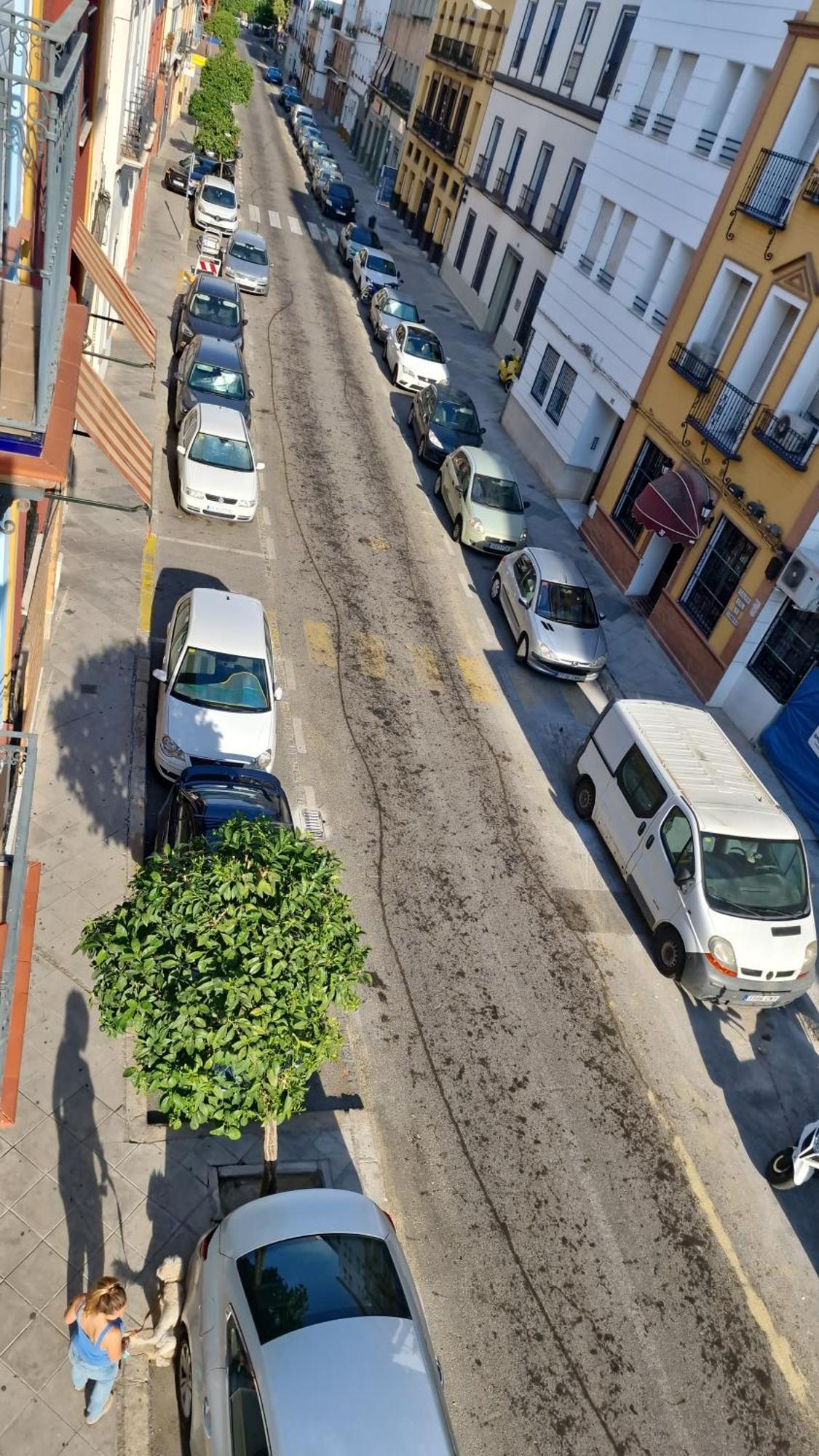 Castilla Del Cachorro, Apto De 2 En Triana Appartement Séville